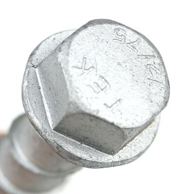 Hex Head Self Drilling Anchor Bolt para Instalação de Sill de Elevador Suporte personalizado