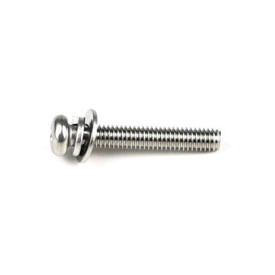 ISO Standard M4 X 25mm de aço inoxidável cabeça de panela Phillips parafusos de máquina com máquina de lavar para porta
