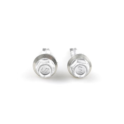 Raspert Finish Ecrã de telhado em aço inoxidável de cabeça hexadecimal Bimetallic Ss316 Ecrã de auto-perfuração com lavadeira Epdm para telhado