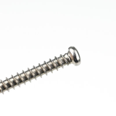 Aço inoxidável Quadrado Drive Pan Head Self Drilling Tapping Screws Sus410 L/C Prazo de pagamento